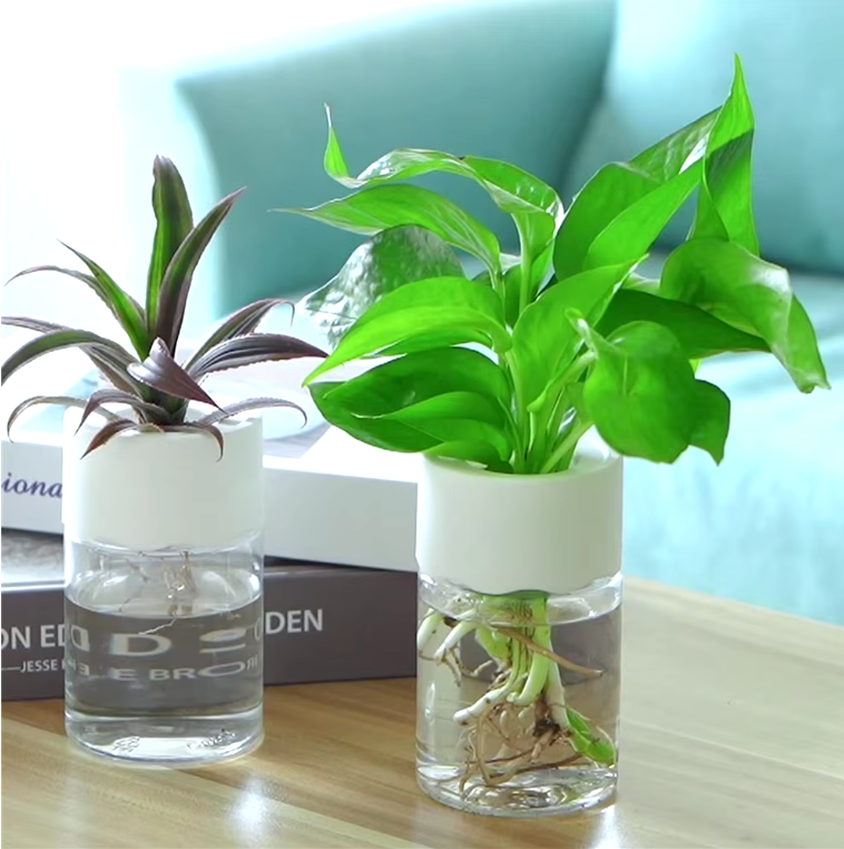 Mini Hydroponic Flower Pot