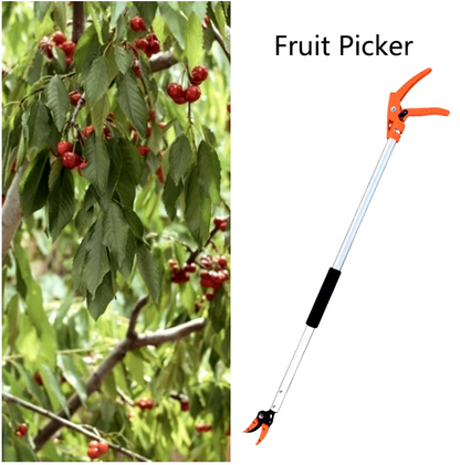 Long Handle Tree Trimmer/ Fruit Picker